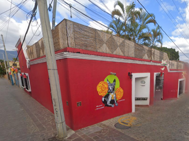 place photo 6