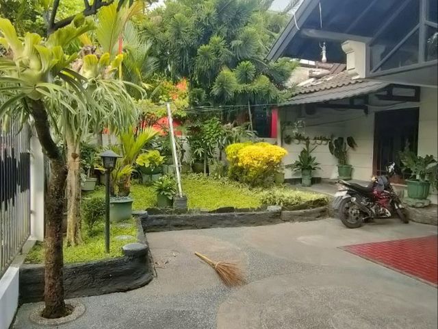 place photo 11