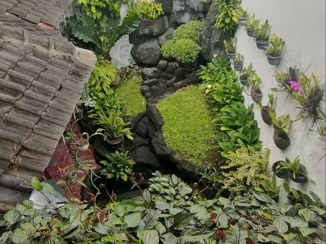 place photo 71