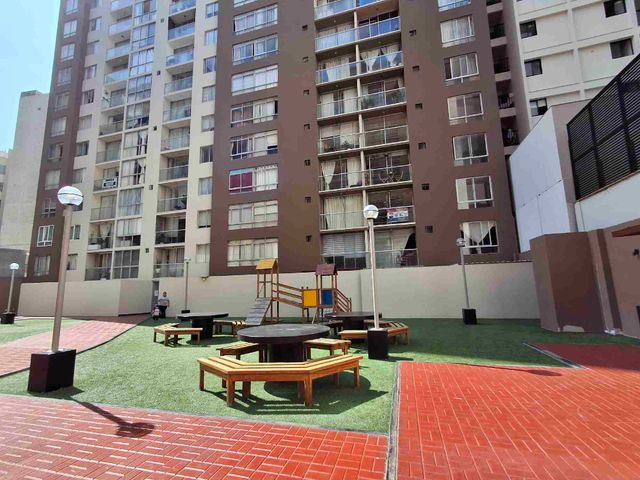 place photo 37