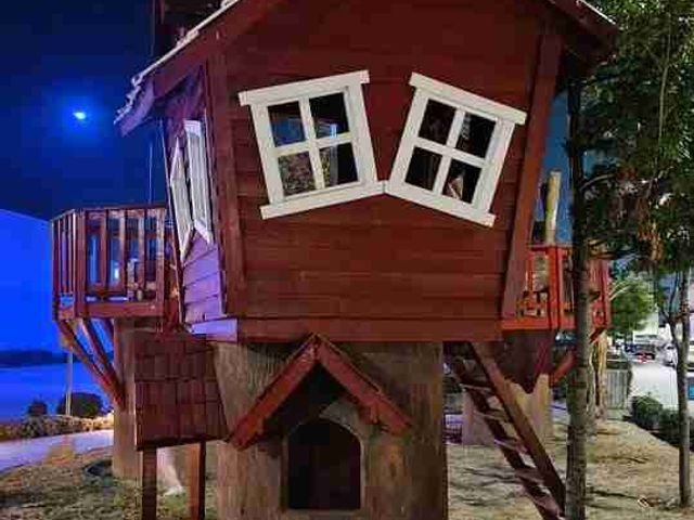 place photo 21