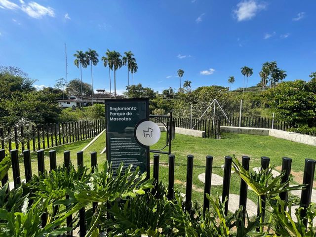 place photo 29