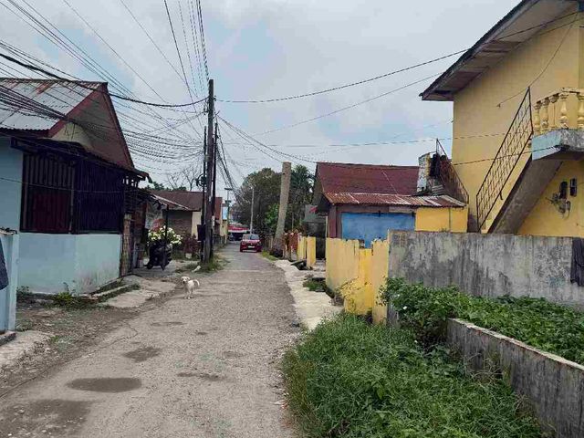 place photo 8
