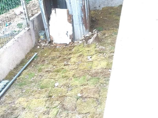 place photo 34