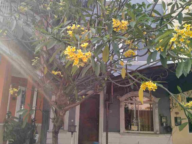 place photo 28