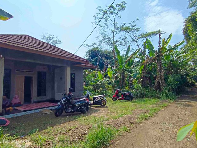 place photo 18