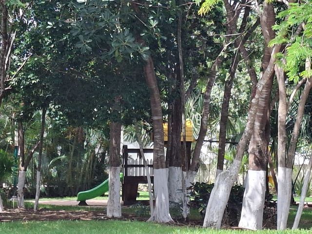 place photo 24