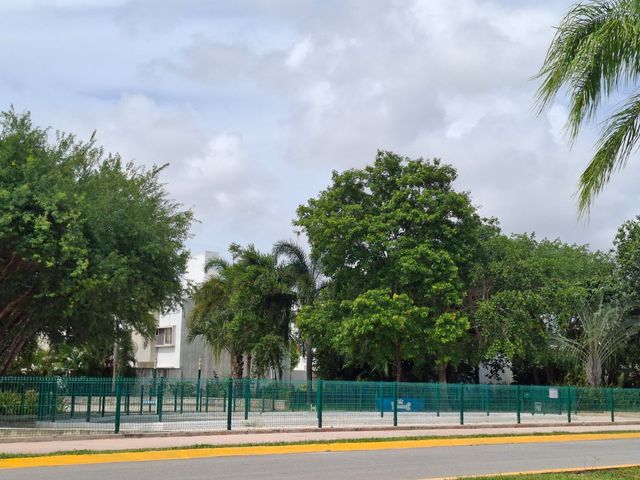 place photo 28