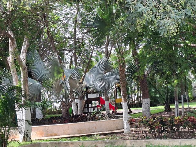 place photo 33