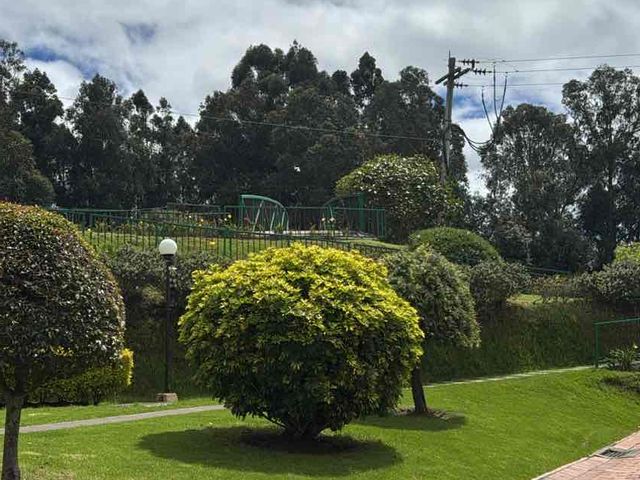 place photo 24