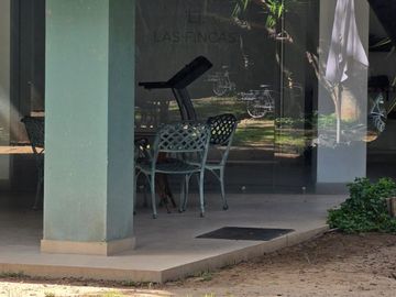 place photo 36