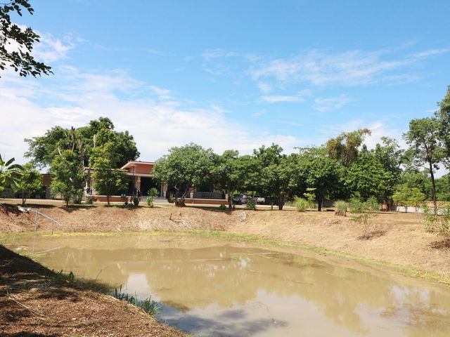 place photo 49