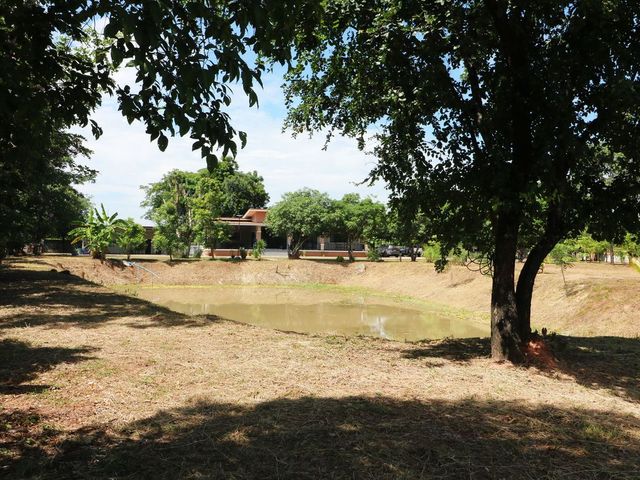 place photo 50