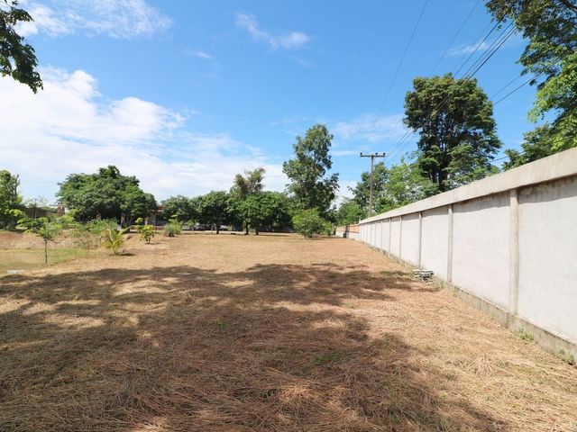 place photo 51