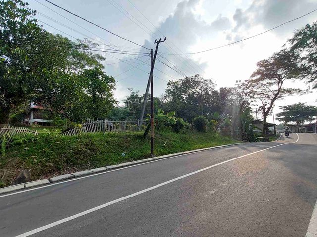 place photo 13