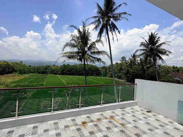 place photo 41