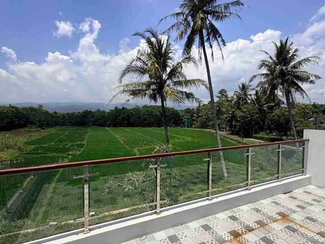 place photo 43