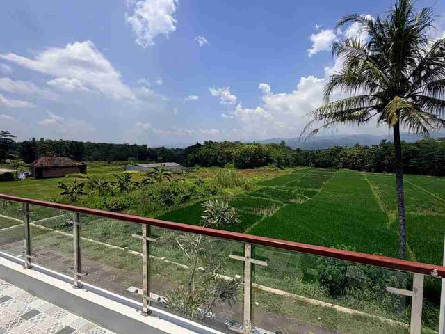place photo 44
