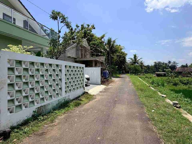 place photo 49