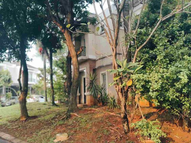 place photo 22