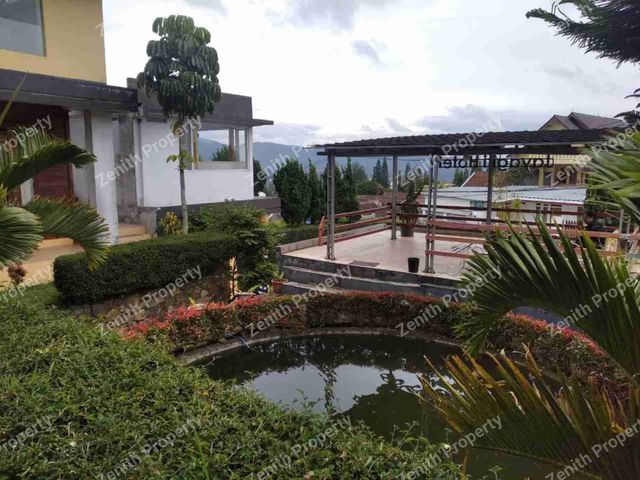place photo 37
