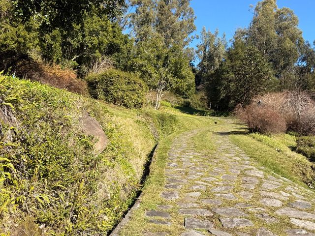 place photo 44