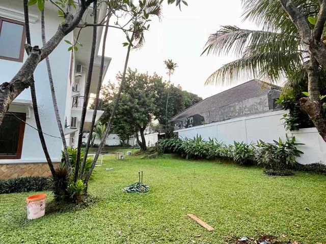 place photo 15