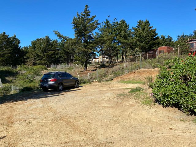 place photo 27