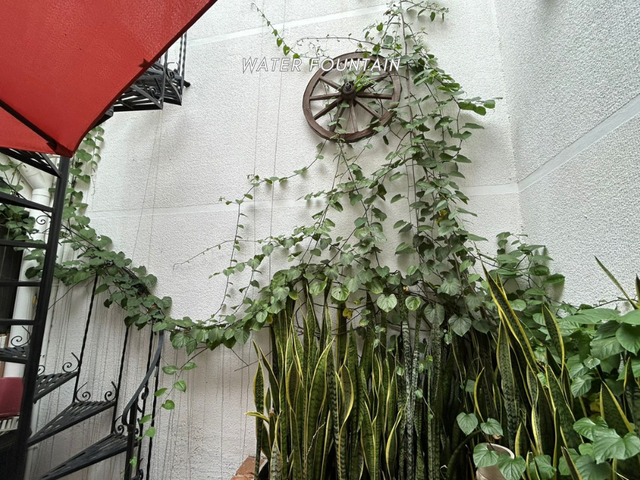 place photo 37