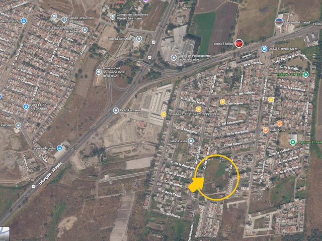 place photo 4
