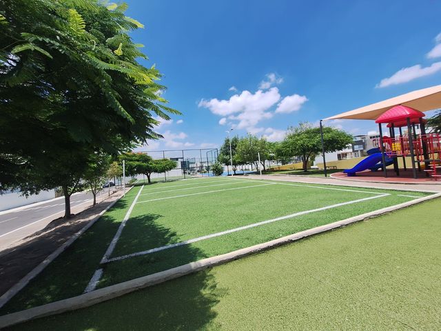 place photo 36