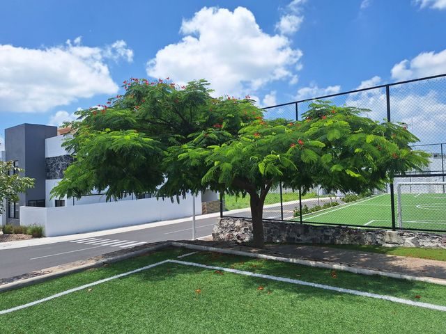 place photo 37