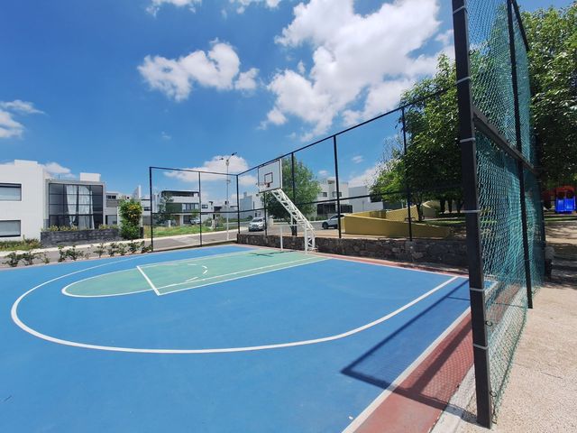 place photo 40