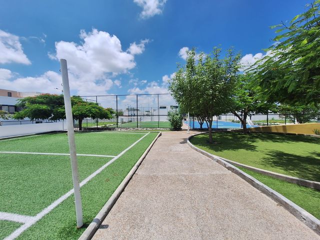 place photo 42