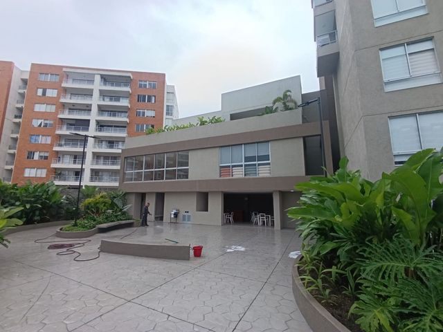 place photo 39