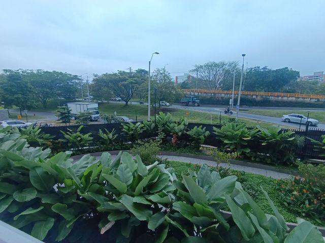 place photo 37