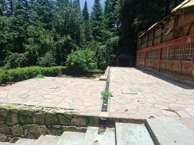 place photo 18