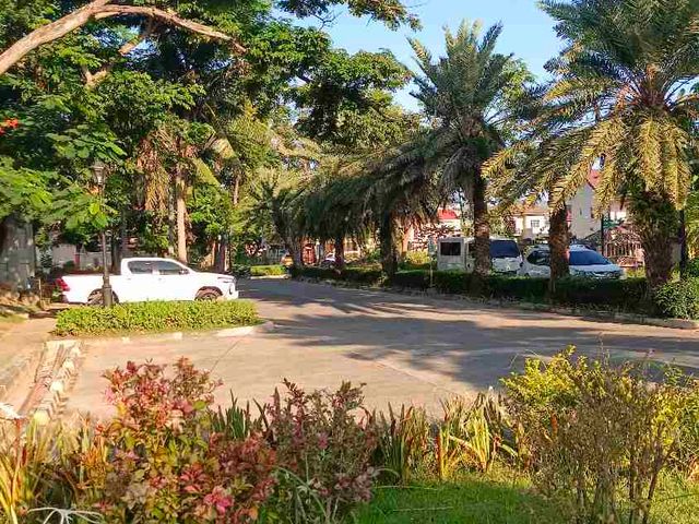 place photo 40