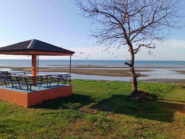 place photo 46