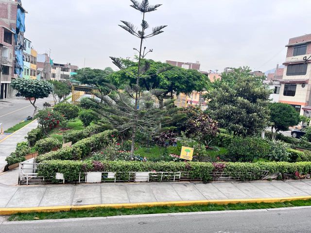 place photo 20