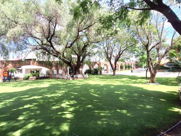 place photo 47