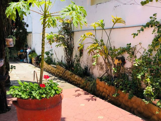 place photo 12