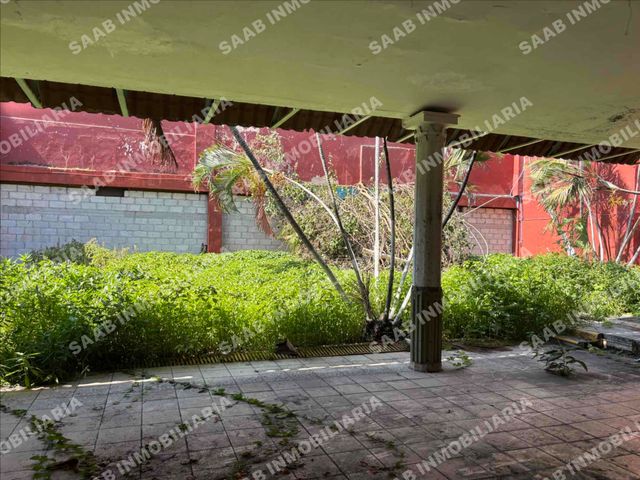 place photo 13