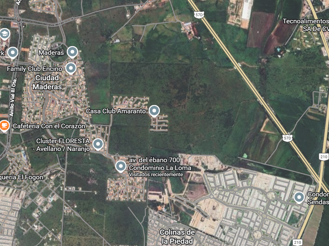place photo 7