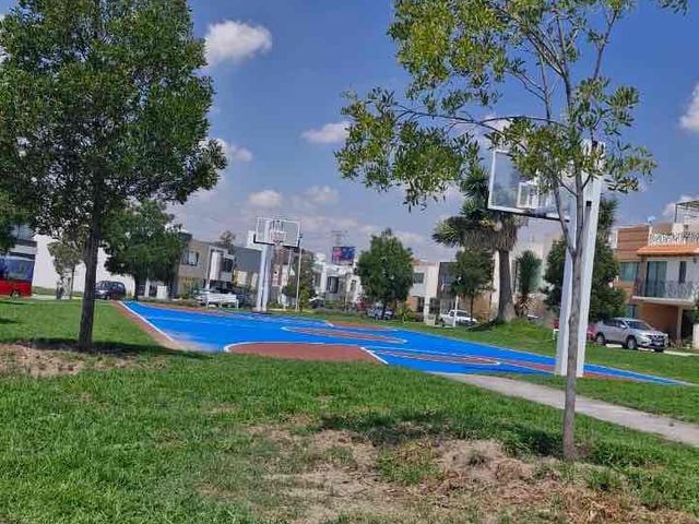 place photo 23