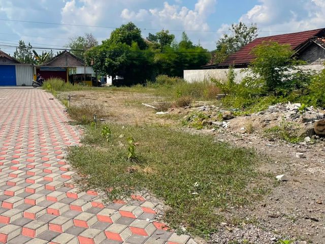 place photo 3