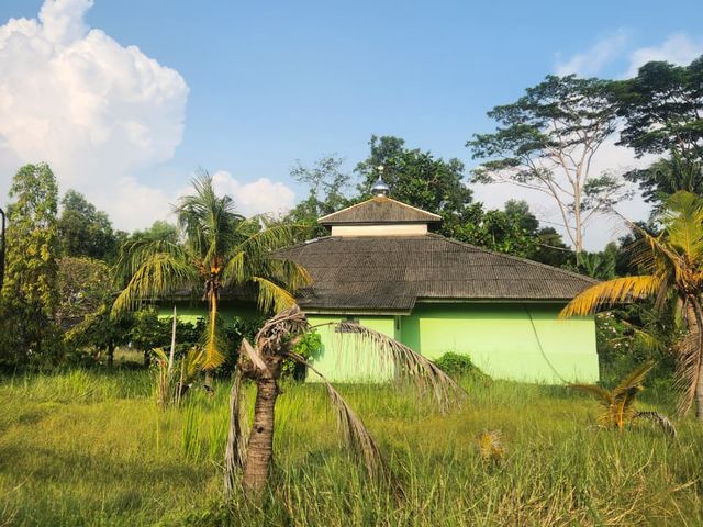 place photo 16