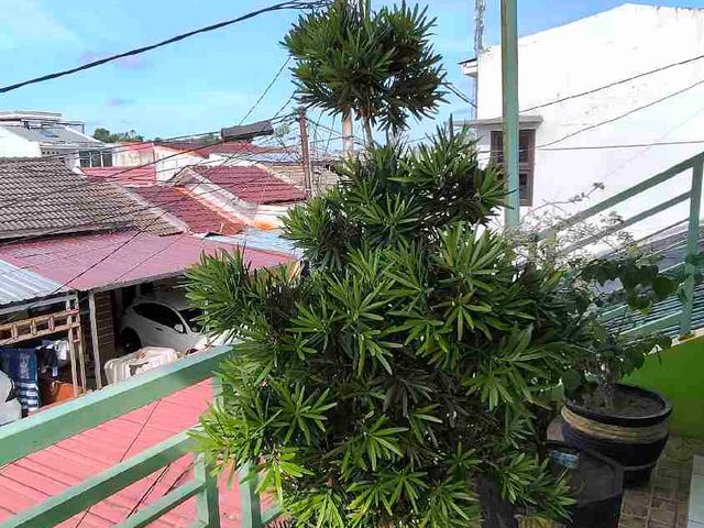 place photo 19