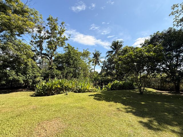 place photo 52