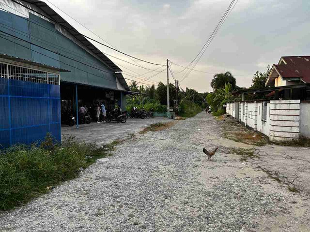 place photo 3